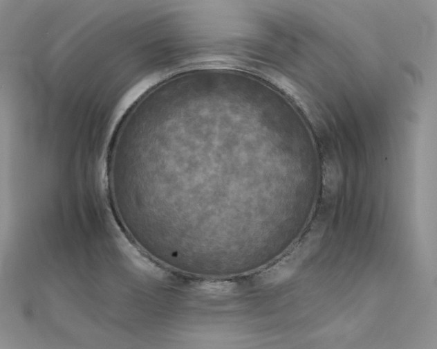 X0000111531466200907141518