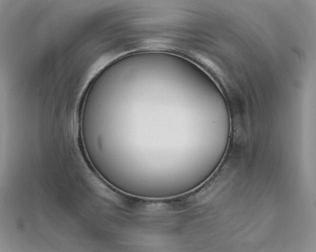 X0000111531467200907141518