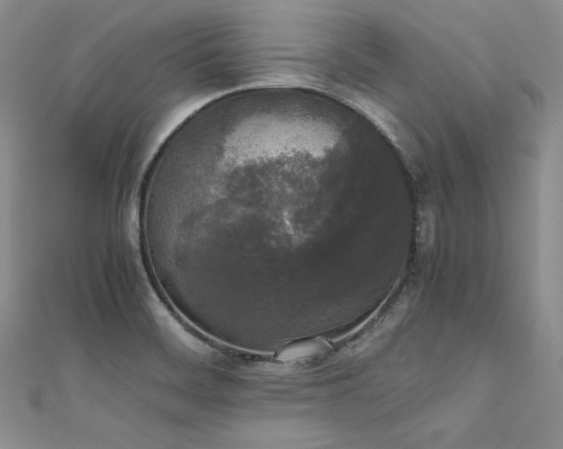 X0000111531468200907141518