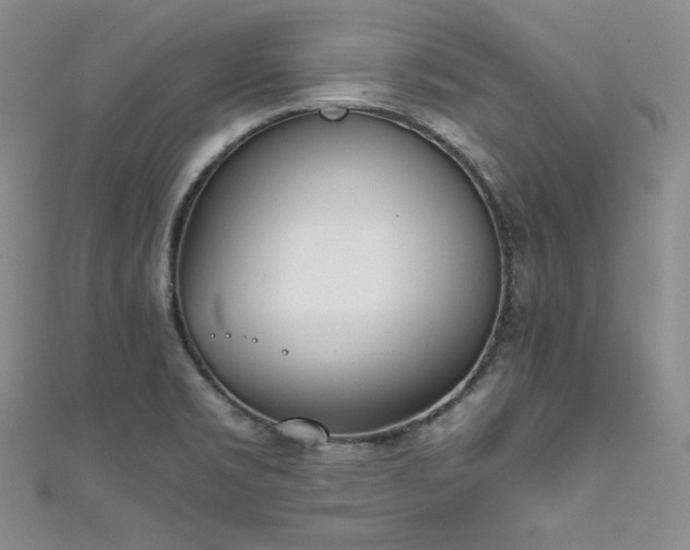 X0000111531469200907141518