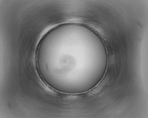 X0000111531470200907141518