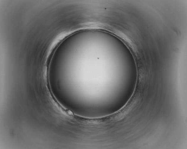 X0000111531472200907141518