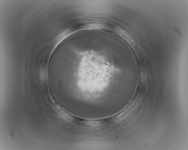 X0000111531473200907141518