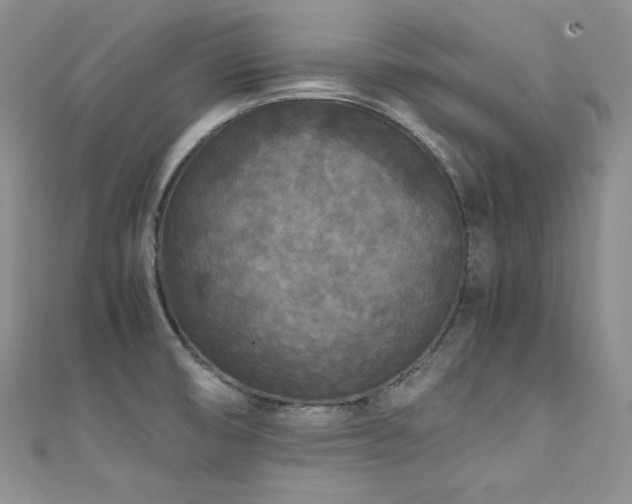 X0000111531474200907141518