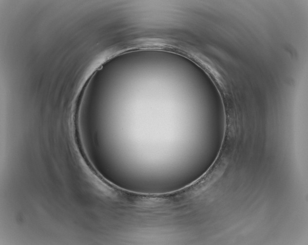 X0000111531475200907141518