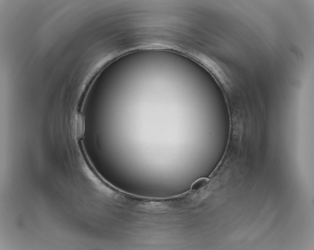 X0000111531476200907141518