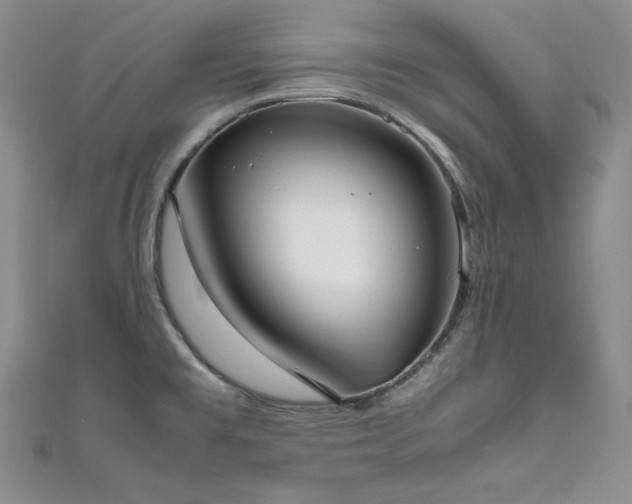 X0000111531477200907141518