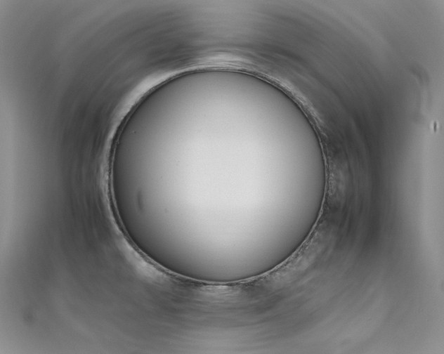 X0000111531478200907141518