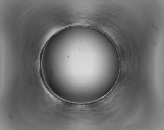 X0000111531479200907141518