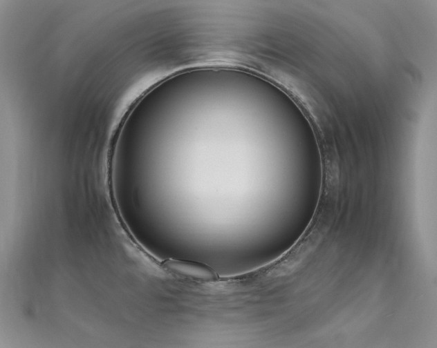 X0000111531480200907141518