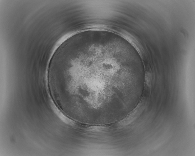 X0000111531482200907141518