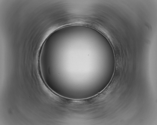 X0000111531483200907141518