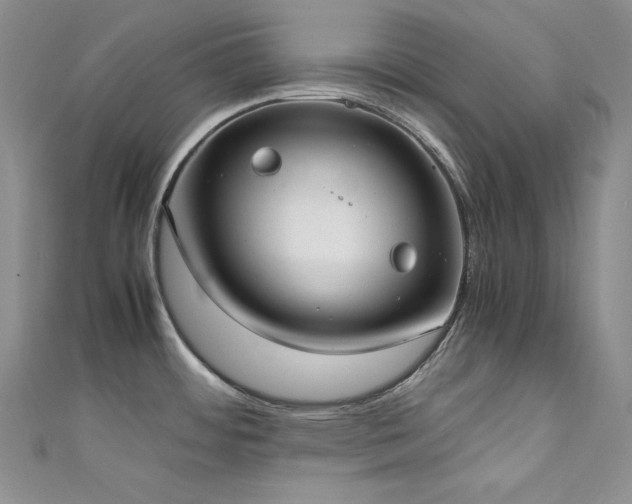 X0000111531484200907141518