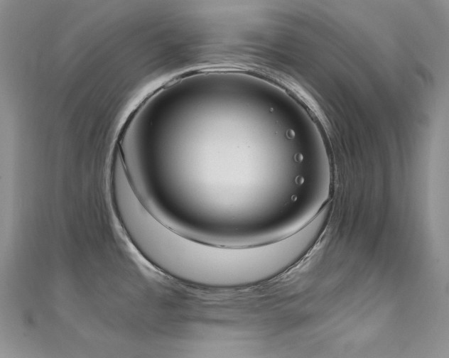 X0000111531485200907141518