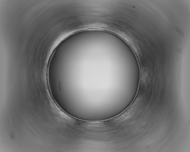 X0000111531486200907141518