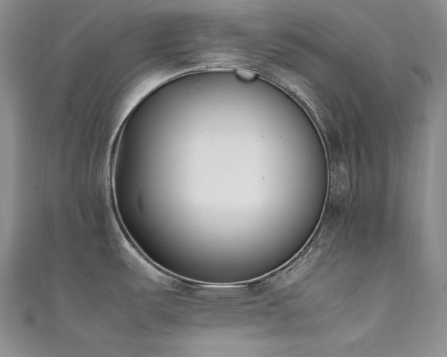 X0000111531487200907141518