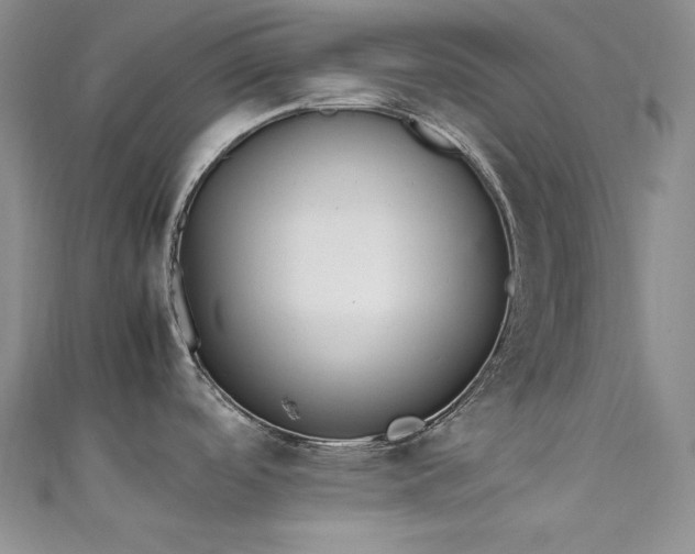 X0000111531488200907141518