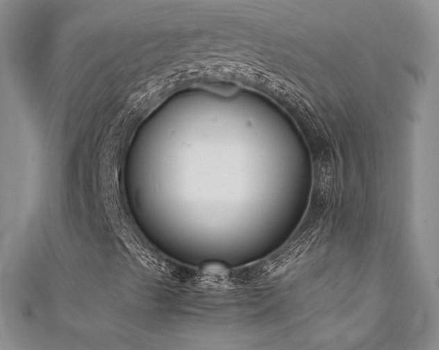 X0000111531489200907141517