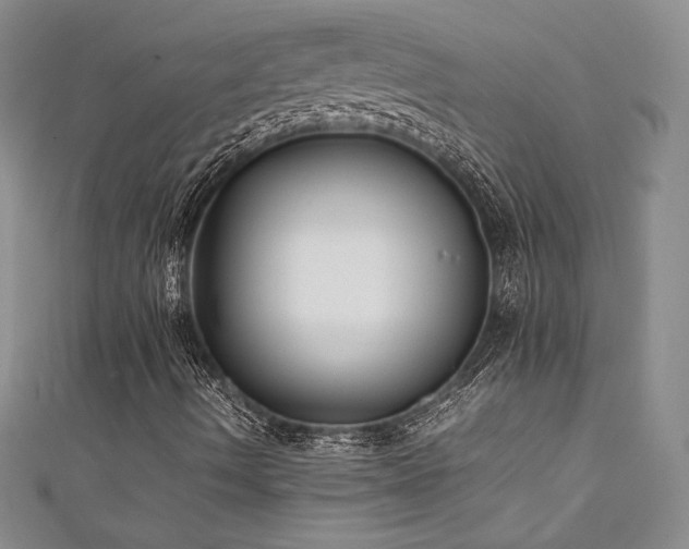 X0000111531490200907141517