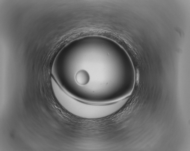 X0000111531492200907141517