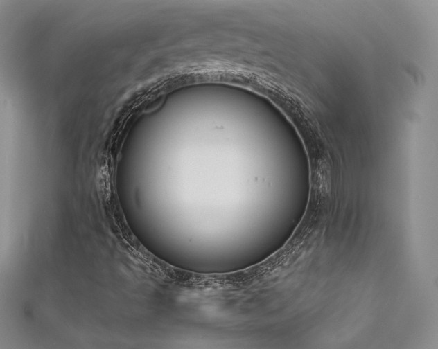 X0000111531493200907141517