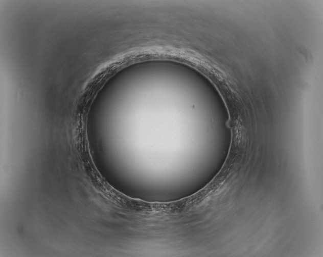 X0000111531494200907141517