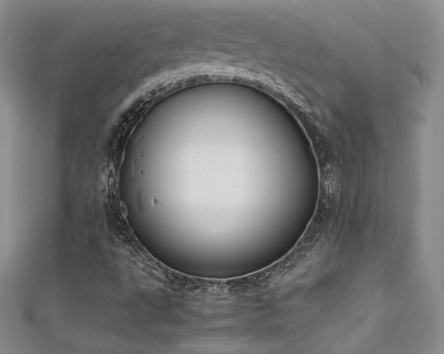 X0000111531495200907141517