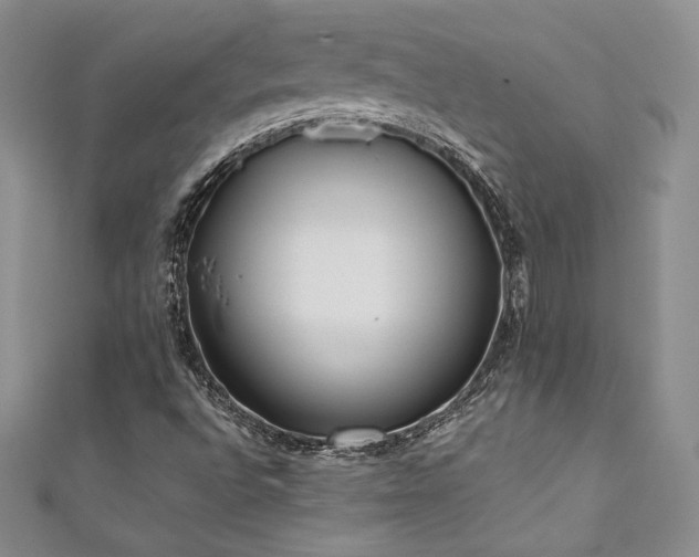 X0000111531496200907141517