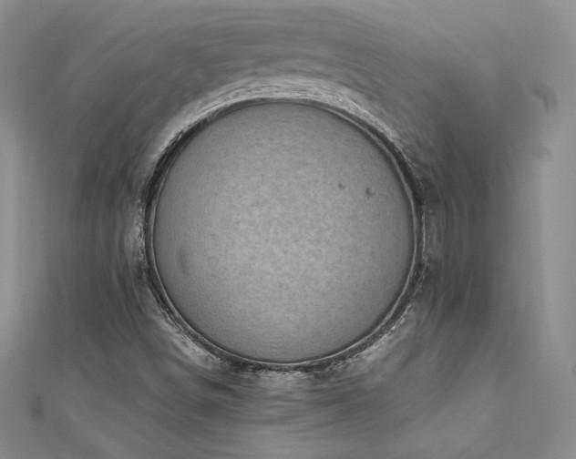 X0000111531498200907141517