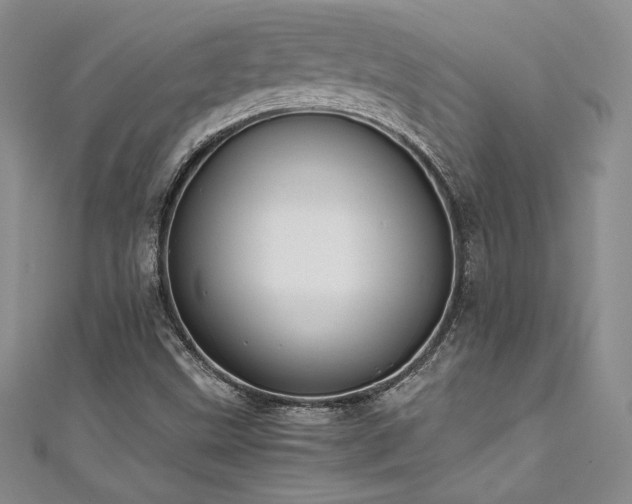 X0000111531499200907141517