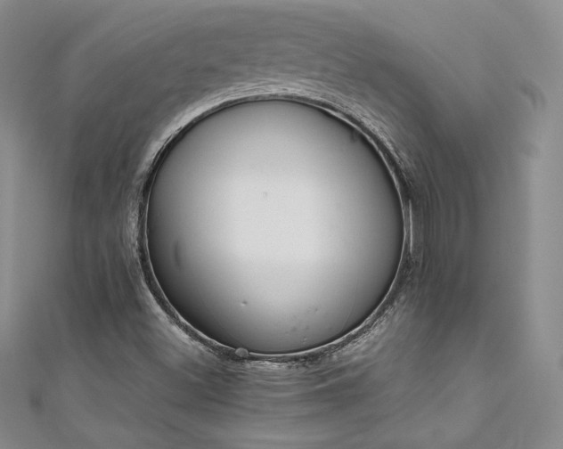 X0000111531500200907141517