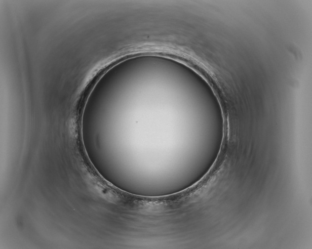 X0000111531501200907141517