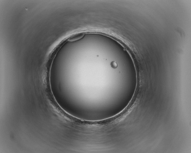 X0000111531502200907141517