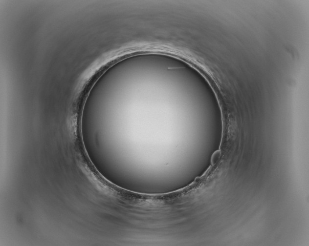 X0000111531503200907141517