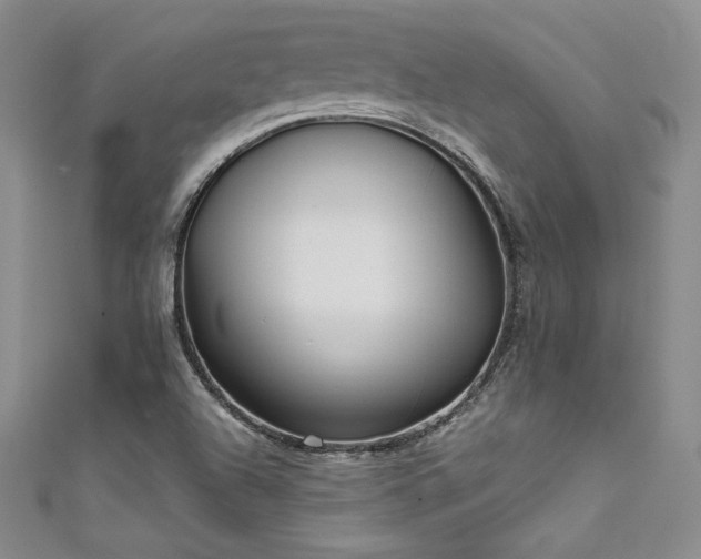 X0000111531504200907141517