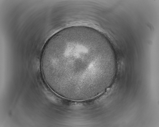 X0000111531505200907141517