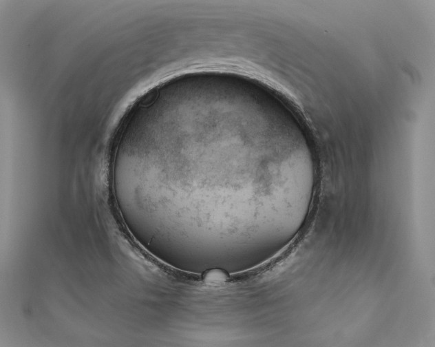 X0000111531506200907141517