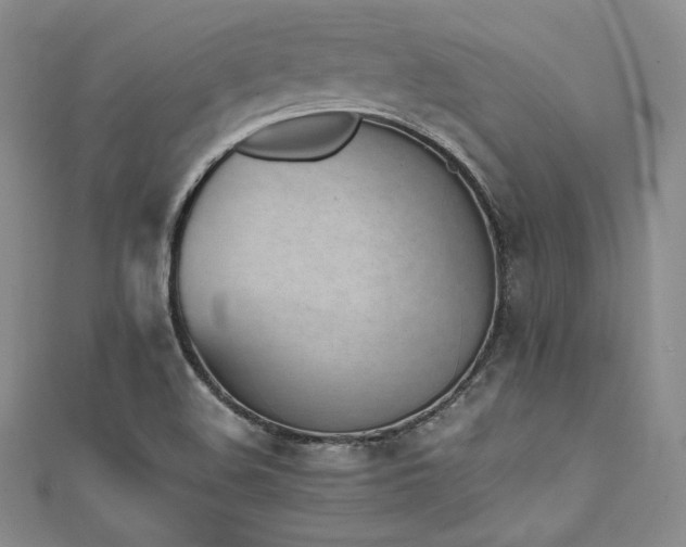 X0000111531508200907141517