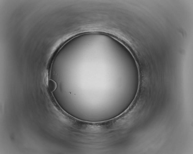 X0000111531509200907141517