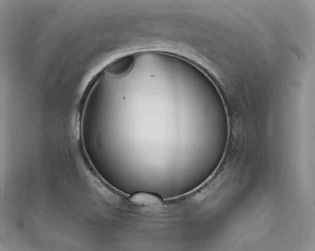 X0000111531510200907141517