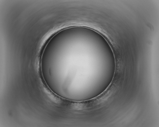 X0000111531511200907141517