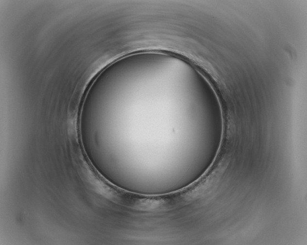 X0000111531513200907141517