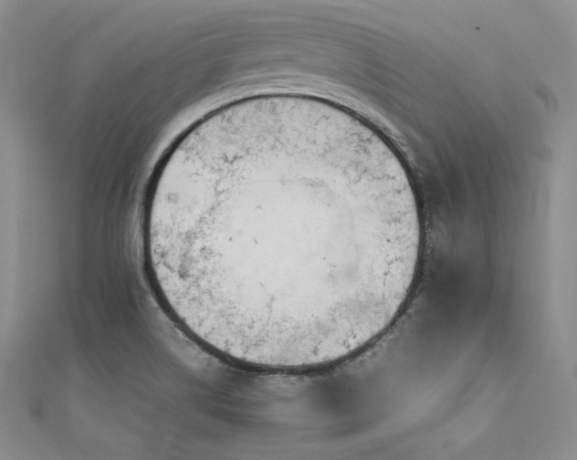 X0000111531514200907141518