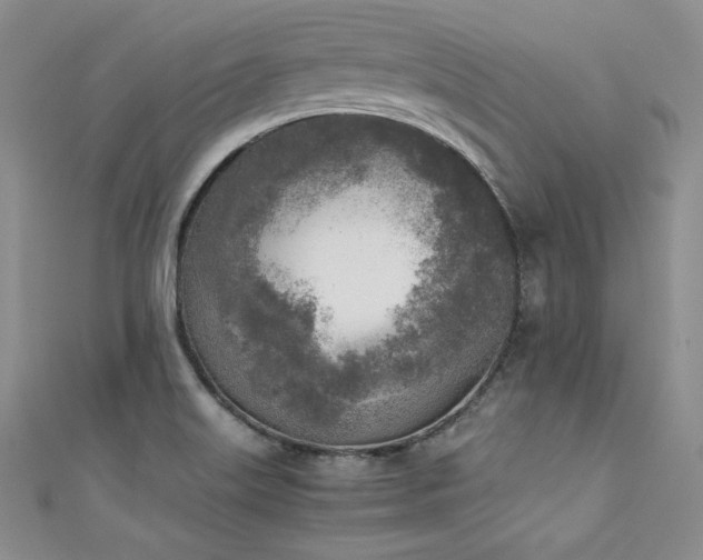 X0000111531515200907141518