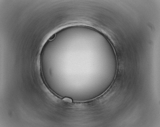 X0000111531516200907141518