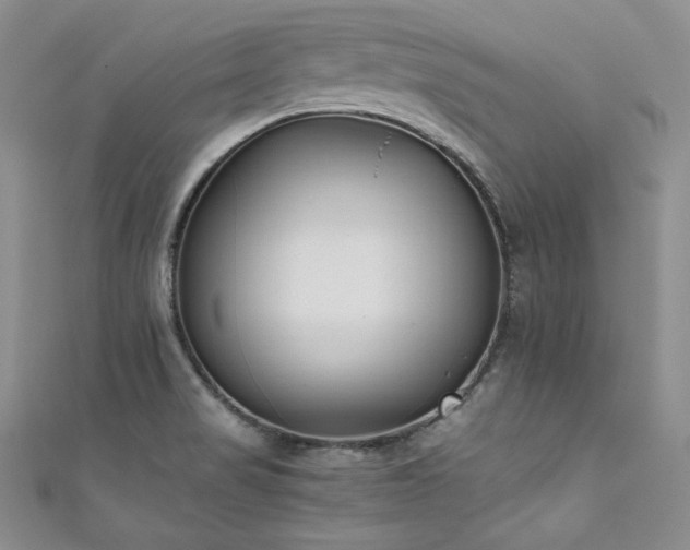 X0000111531517200907141518