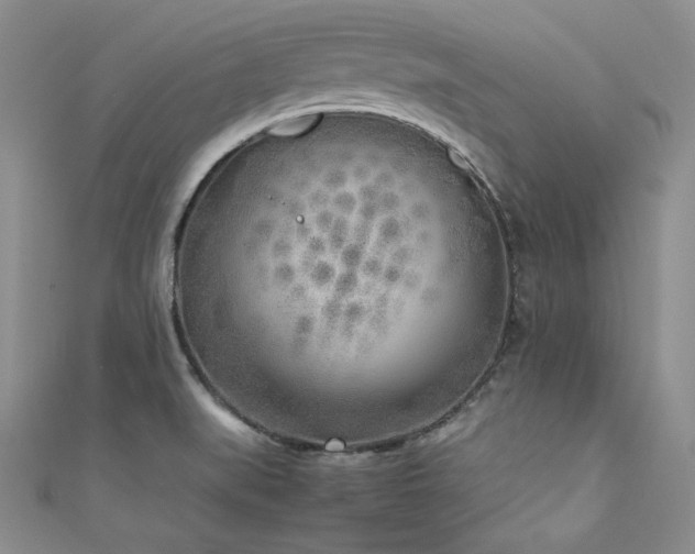 X0000111531519200907141518