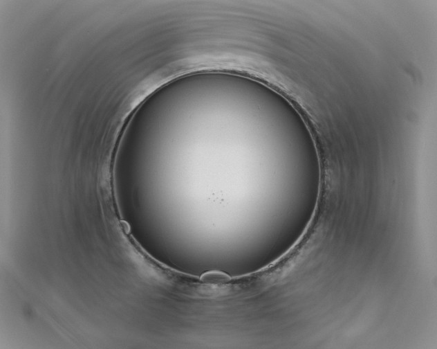 X0000111531521200907141518