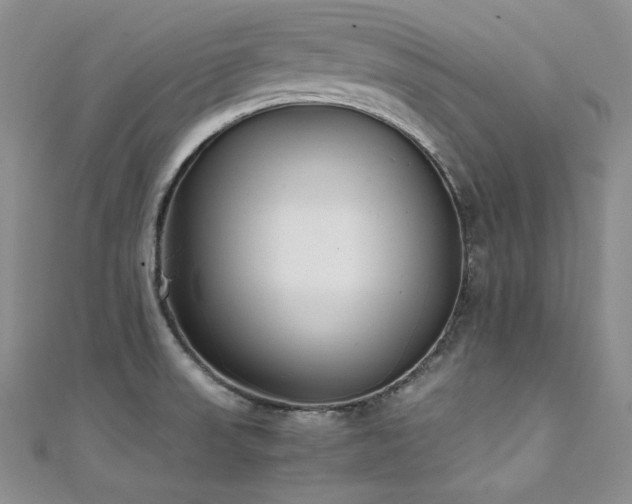 X0000111531523200907141518