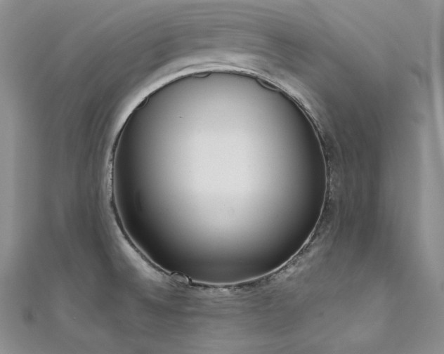 X0000111531524200907141518